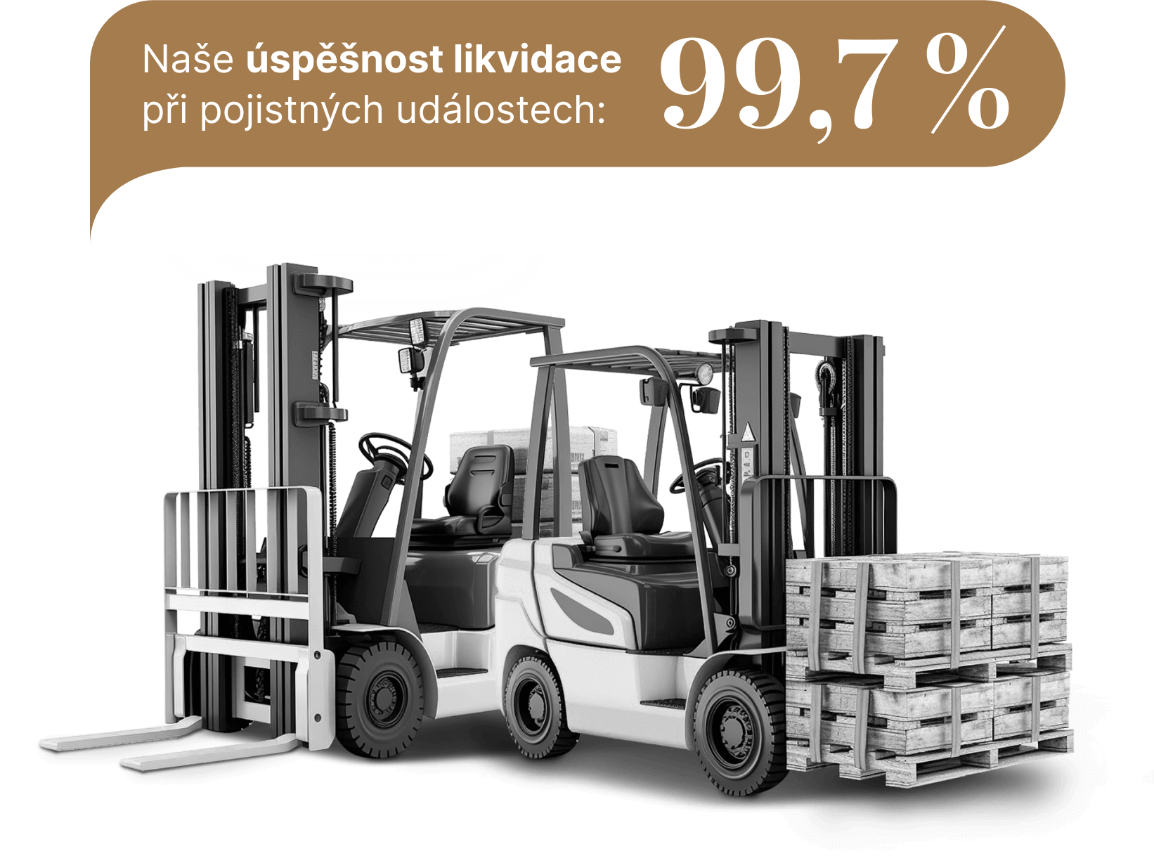 Naše úspěšnost likvidace
při pojistných událostech:
99,7 %